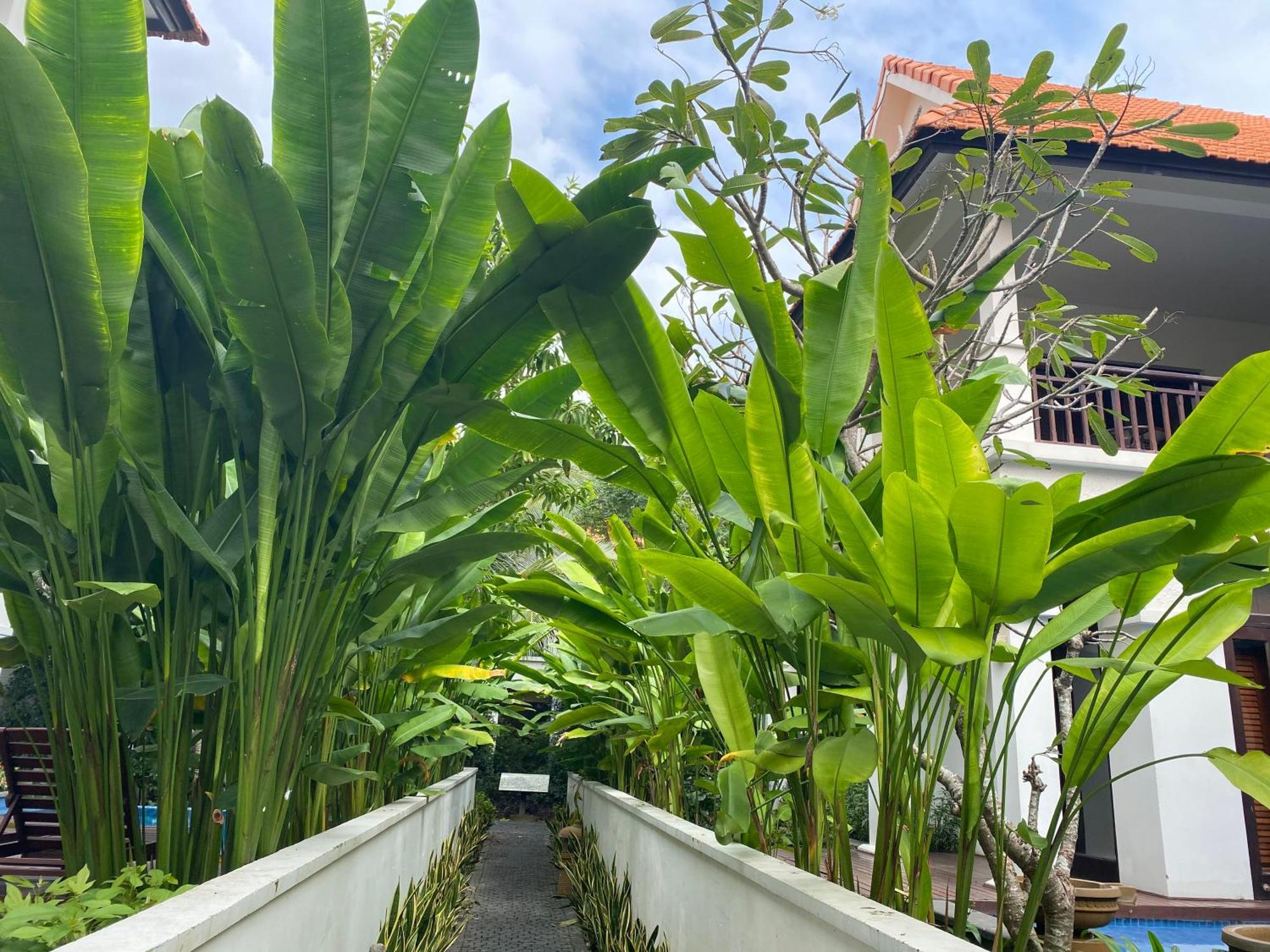Tropical Pool Villas Da Nang Buitenkant foto